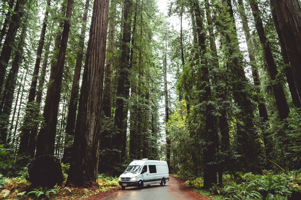 van parked in redwoods - exploring the west coast