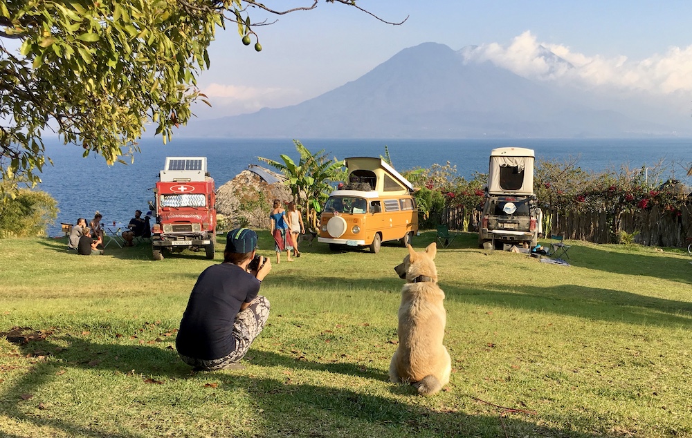 3 vans in Hawaii - finding dog-friendly campsites
