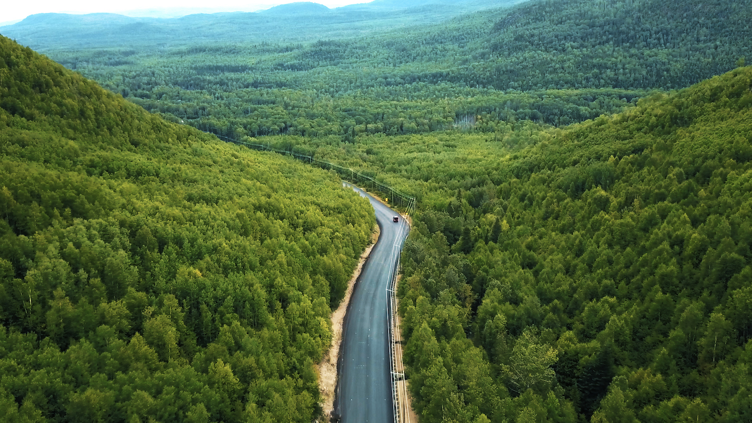 Comprendre la compensation carbone, ou l’art du road trip vert