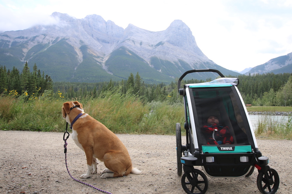 dog and baby mountain range