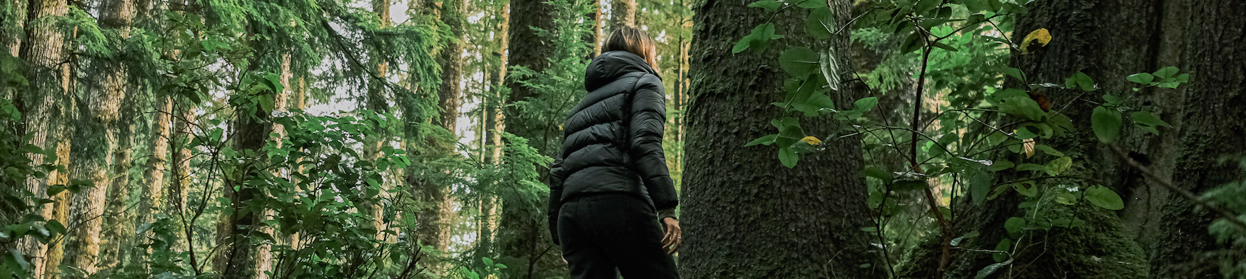 Fairy Creek Blockade: protéger les forêts d’arbres ancestraux dans l’Ouest canadien