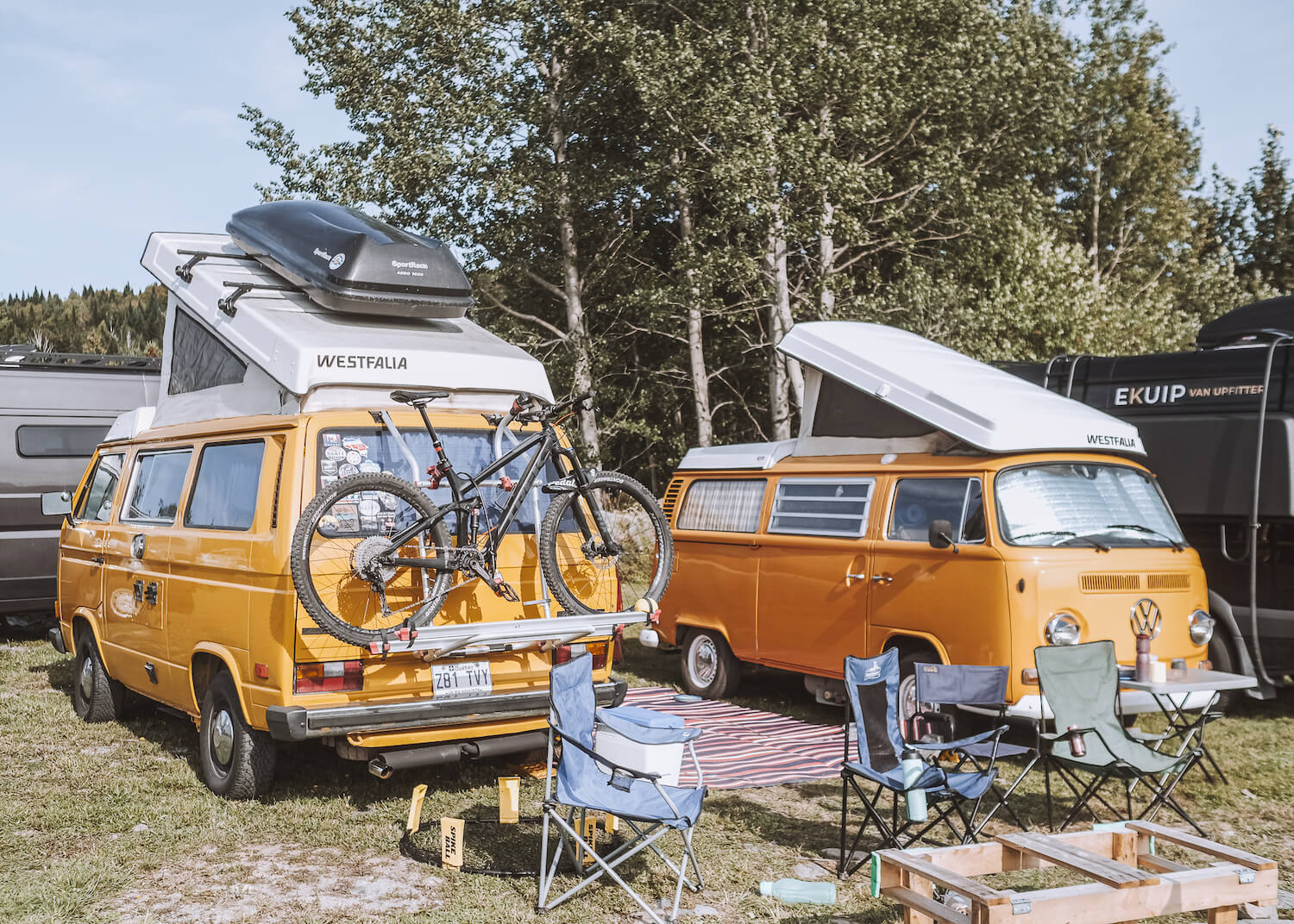 westaflia jaune et orange avec vélos - choose your van model