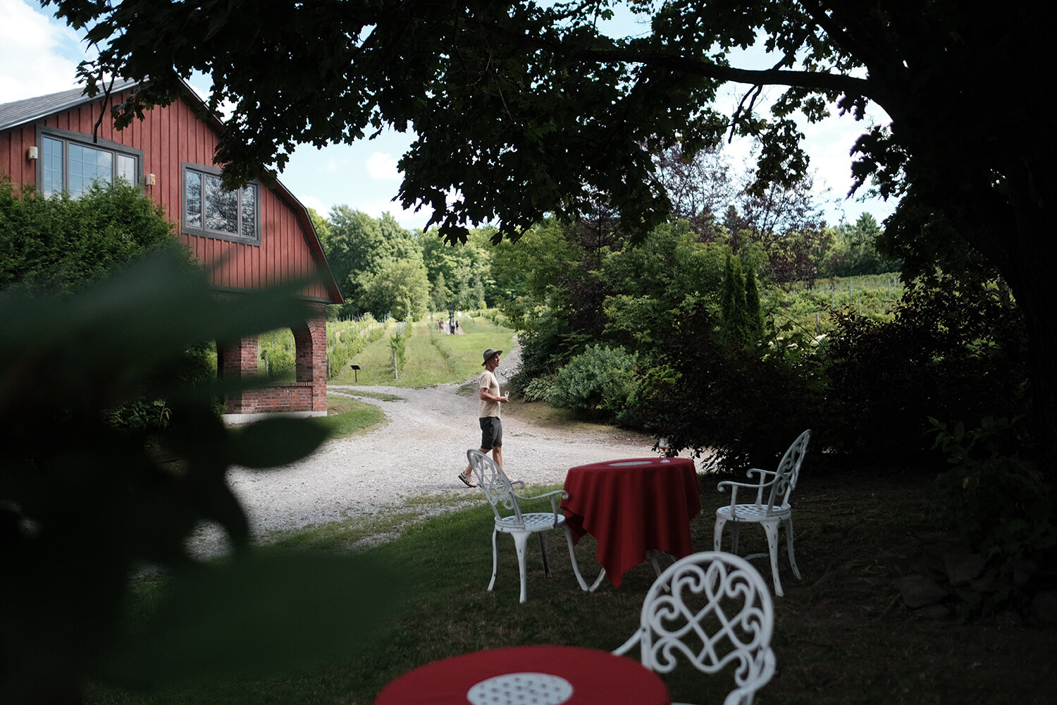 Julien Roussin au Domaine Côtes d'Ardoise - Vignoble & Cidrerie